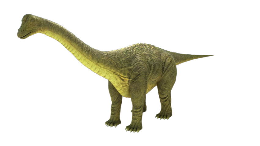 brontosaurus-apatosaurus-3d-model