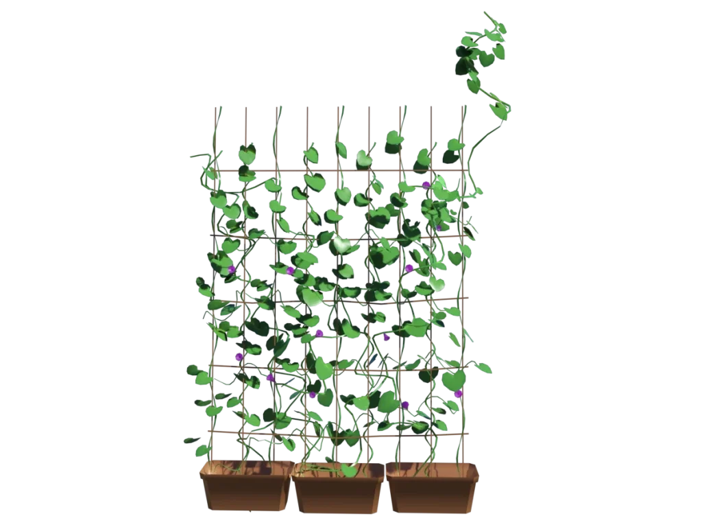 ivy-plants-3d-model-ta
