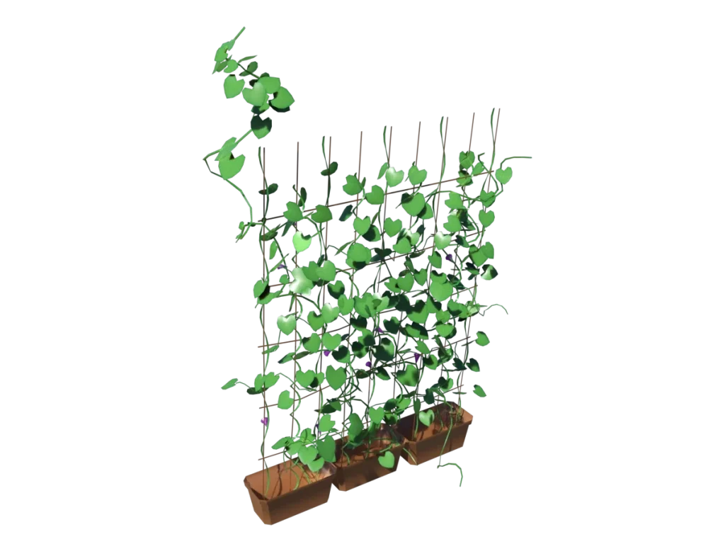 ivy-plants-3d-model-tc