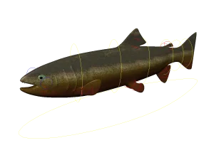salmon-3d-model-rigged-rendering-1