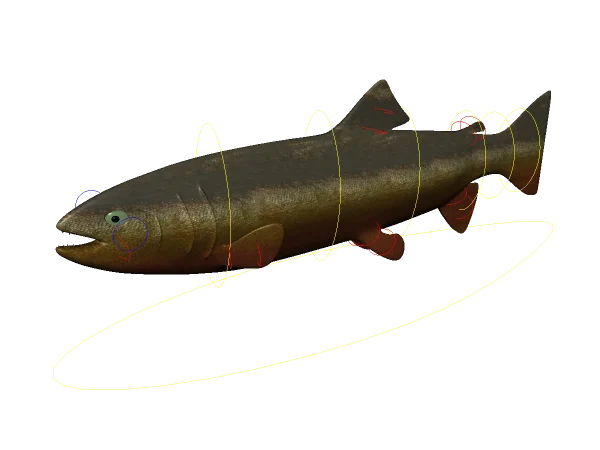 salmon-3d-model-rigged-rendering-1