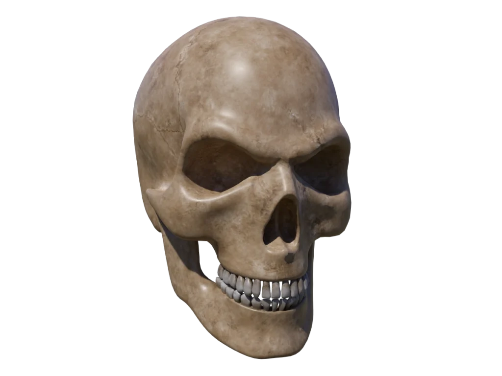 angry-skull-3d-model-ta