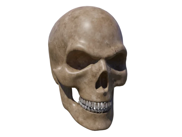 angry-skull-3d-model-ta
