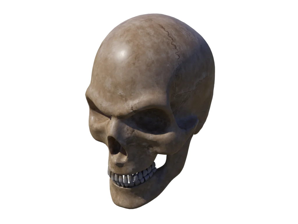 angry-skull-3d-model-tb