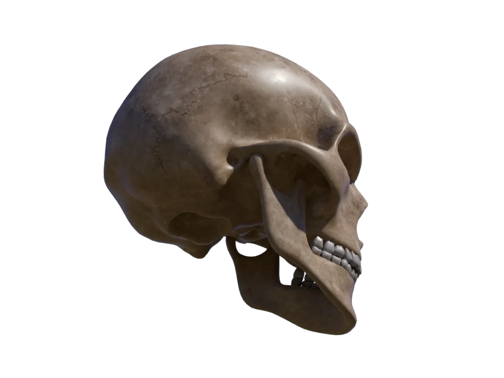 angry-skull-3d-model-tc