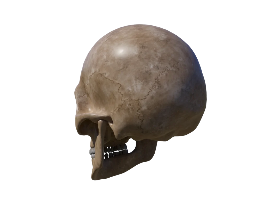 angry-skull-3d-model-td