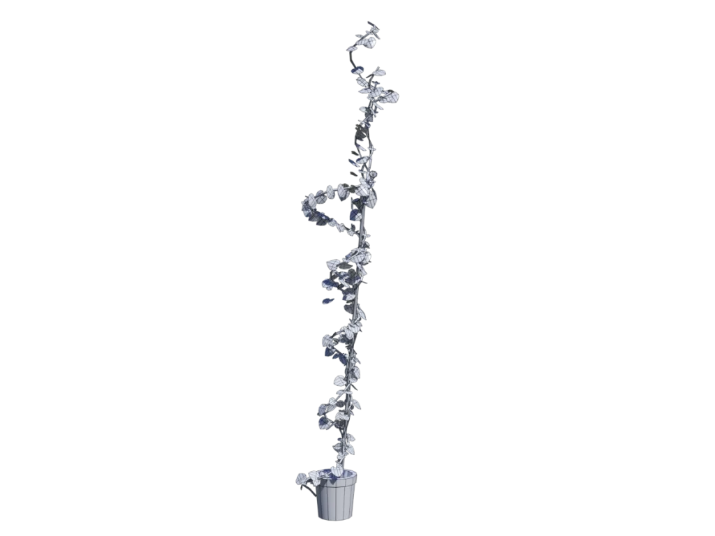 ivy-plant-single-3d-model-wireframe-tc