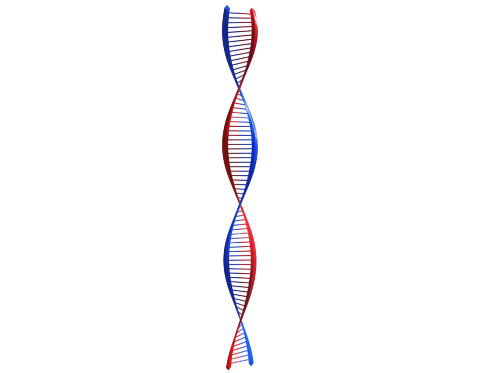 Quick and easy animated pictures of proteins