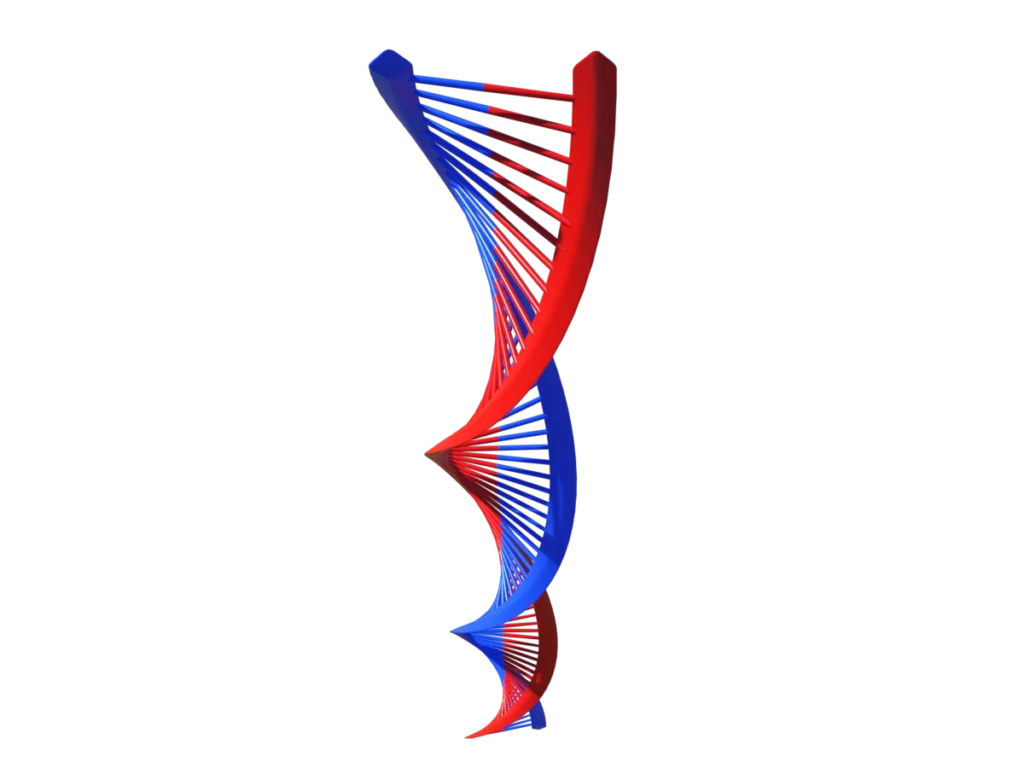 protein-synthesis-dna-3d-model-tb