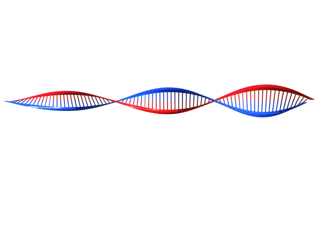 protein-synthesis-dna-3d-model-td