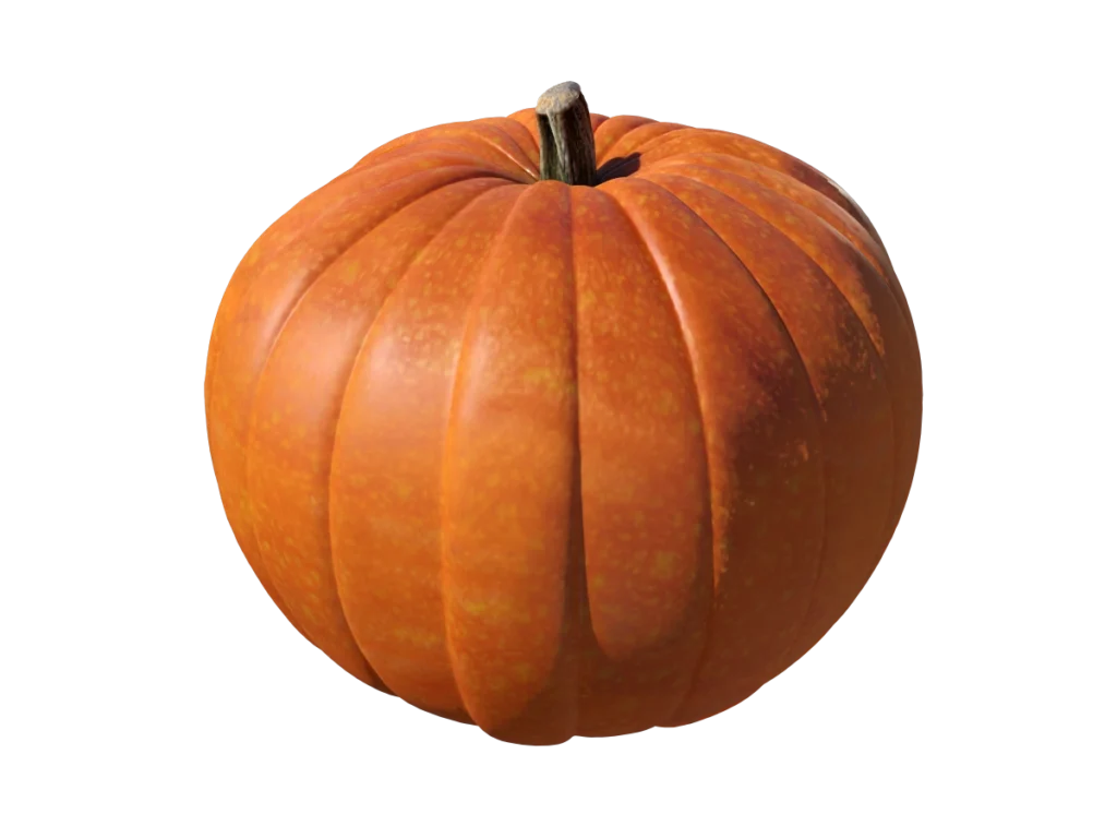 pumpkin-3d-model-ta