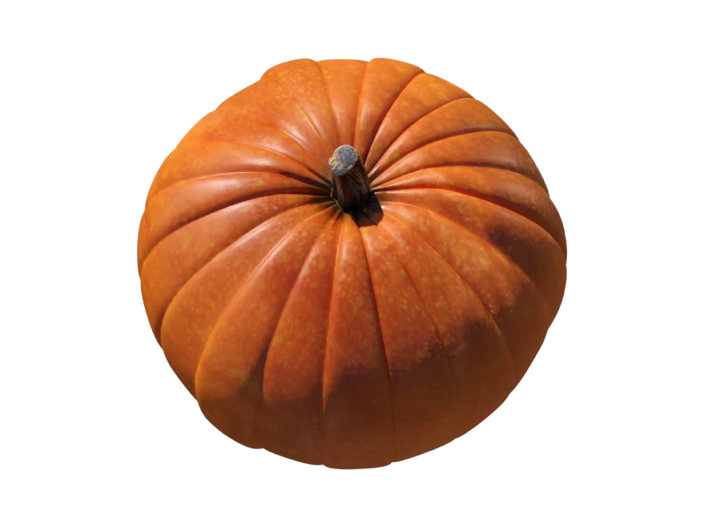 pumpkin-3d-model-tb