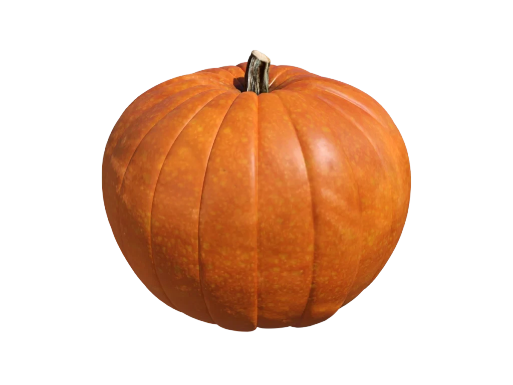 pumpkin-3d-model-tc