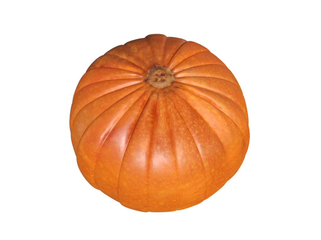 pumpkin-3d-model-td