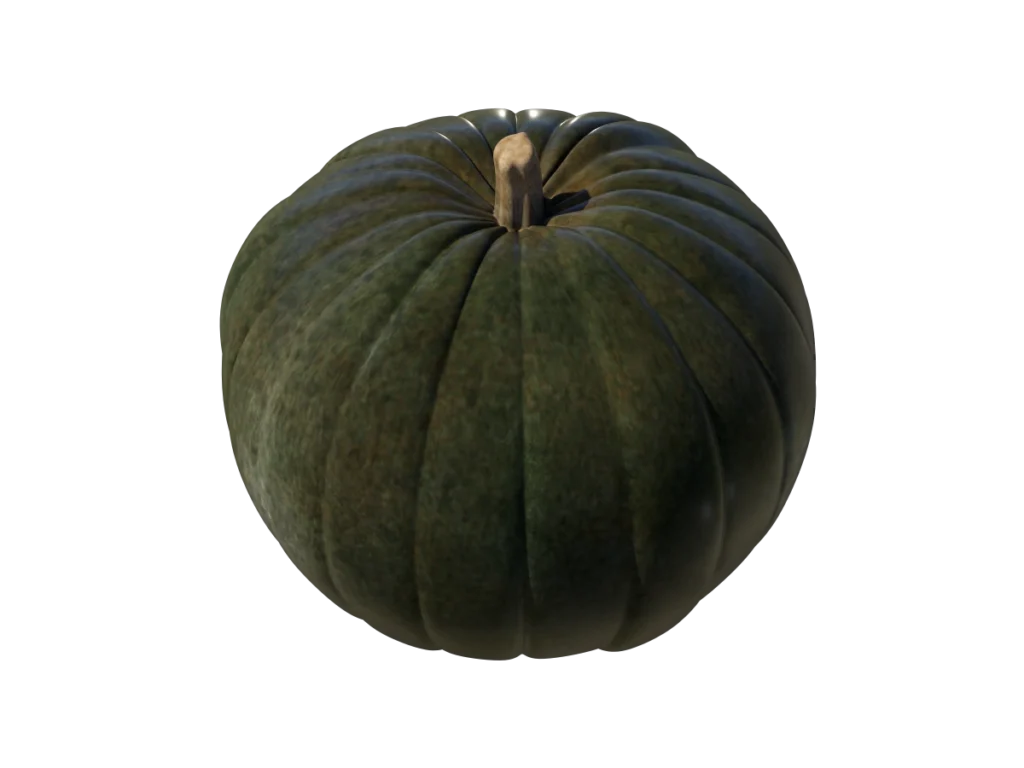 pumpkin-green-3d-model-ta