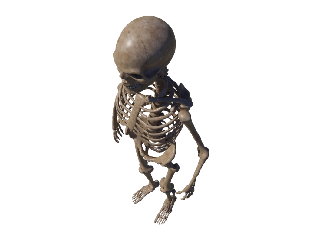 skeleton-halloween-3d-model-angry-skull-tc
