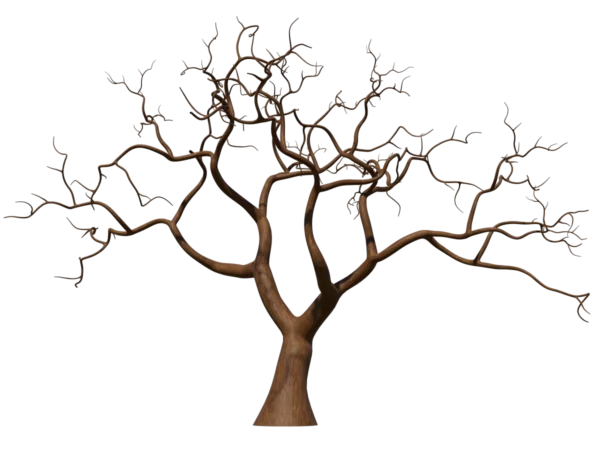 tree-winter-3d-model-ta