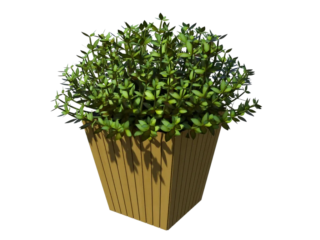 buxus-box-plant-3d-model-ta