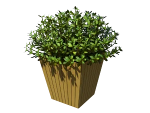 buxus-box-plant-3d-model-ta