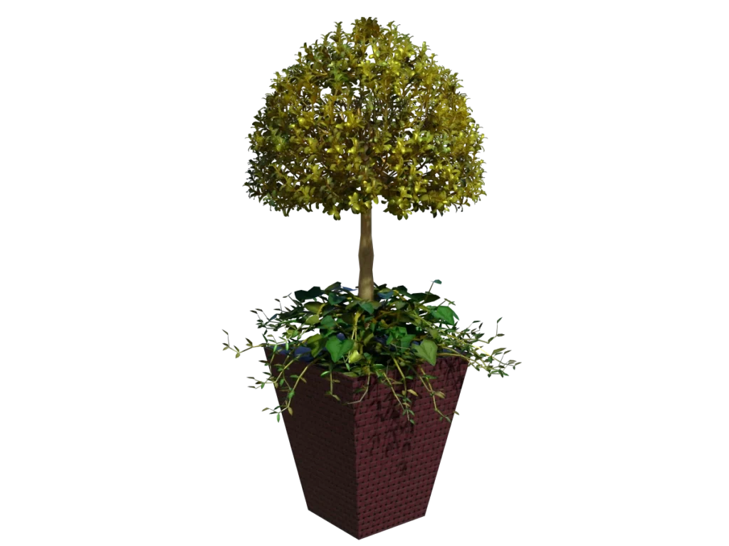 buxus-box-plant-ivy-3d-model-ta