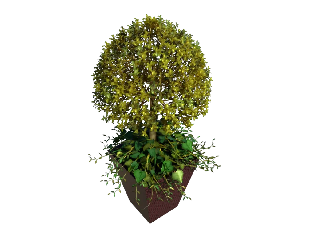 buxus-box-plant-ivy-3d-model-tb