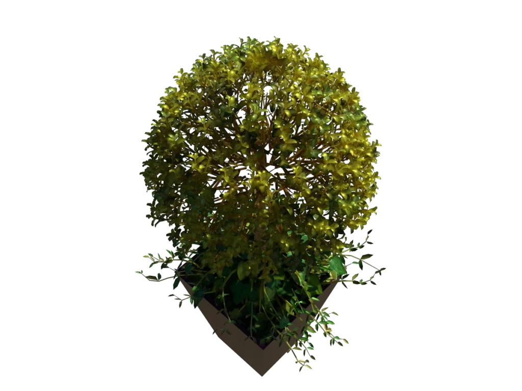 buxus-box-plant-ivy-3d-model-tc