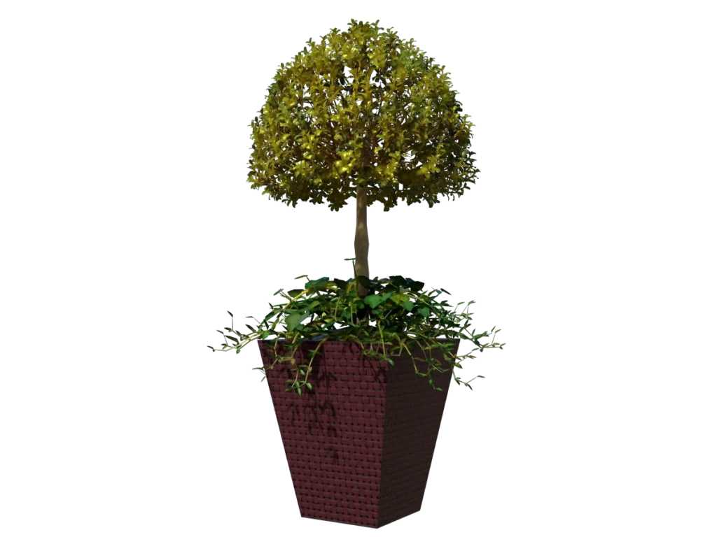 buxus-box-plant-ivy-3d-model-td