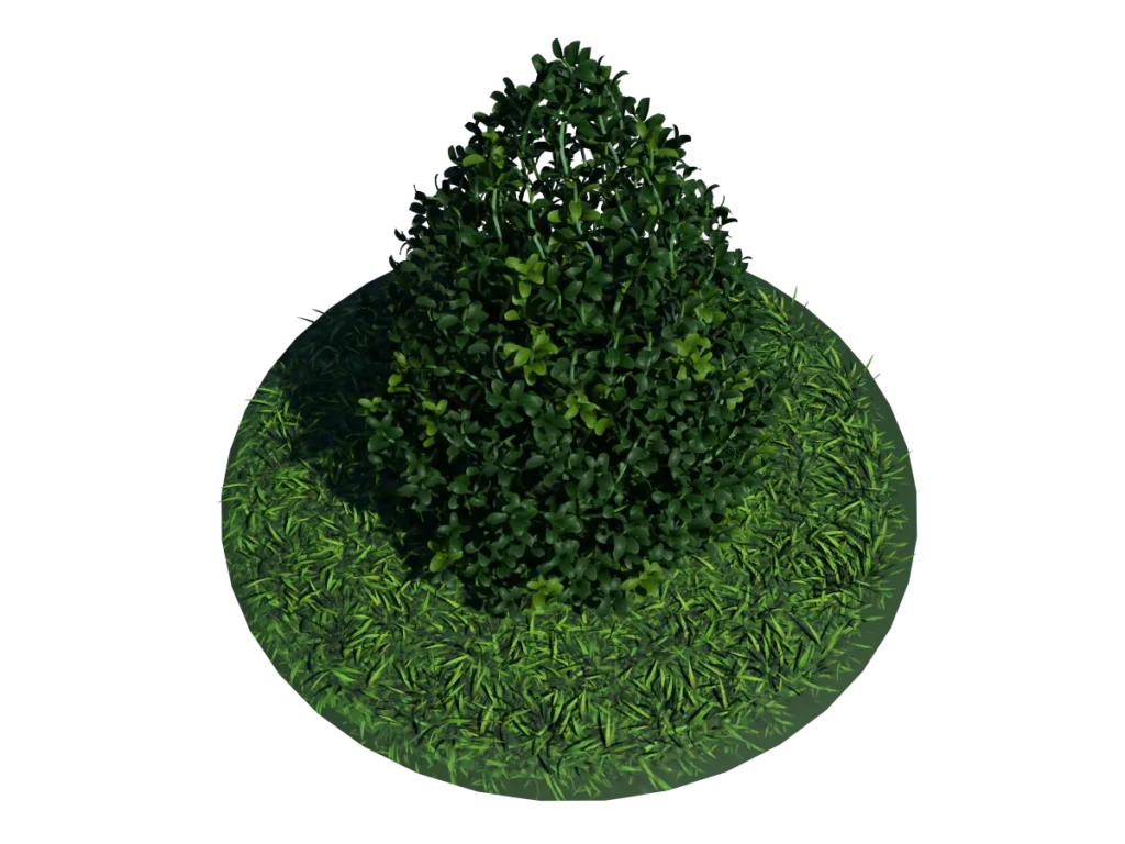 buxus-plant-cone-shape-3d-model-on-grass-tb