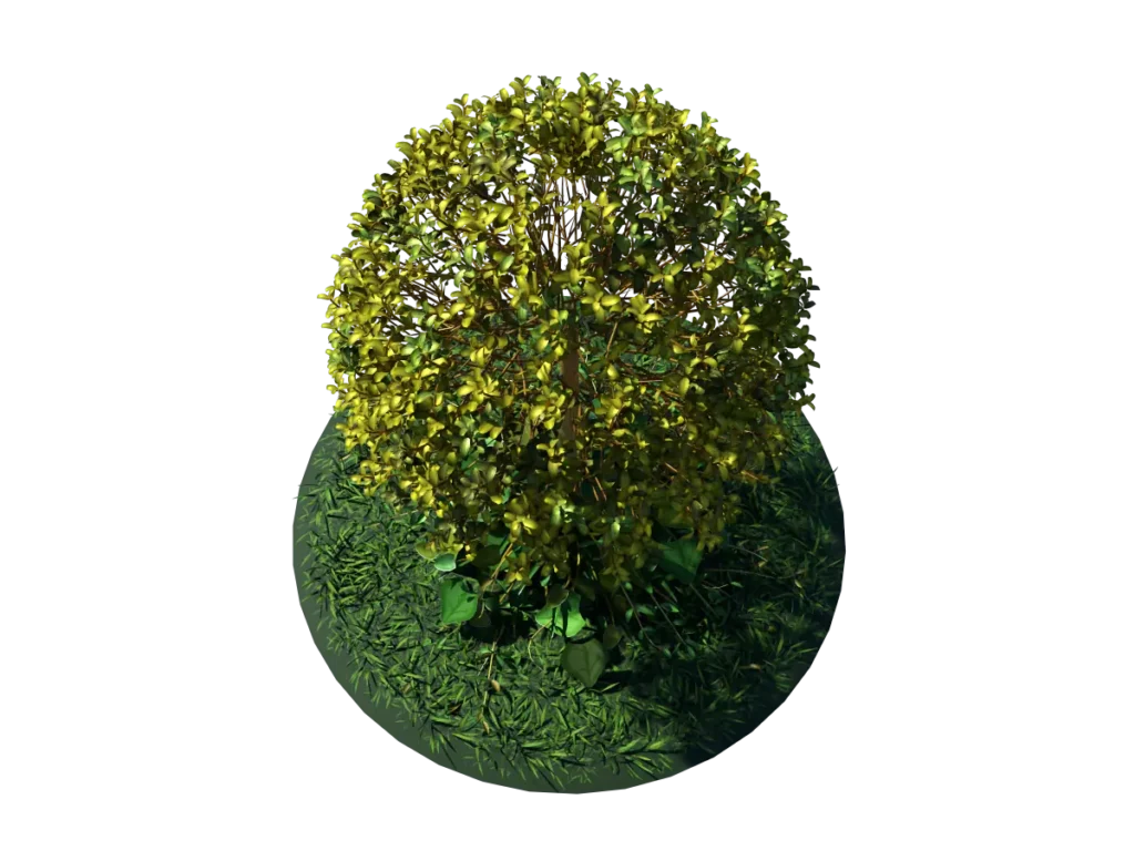 buxus-tree-with-ivy-grass-3d-model-tc