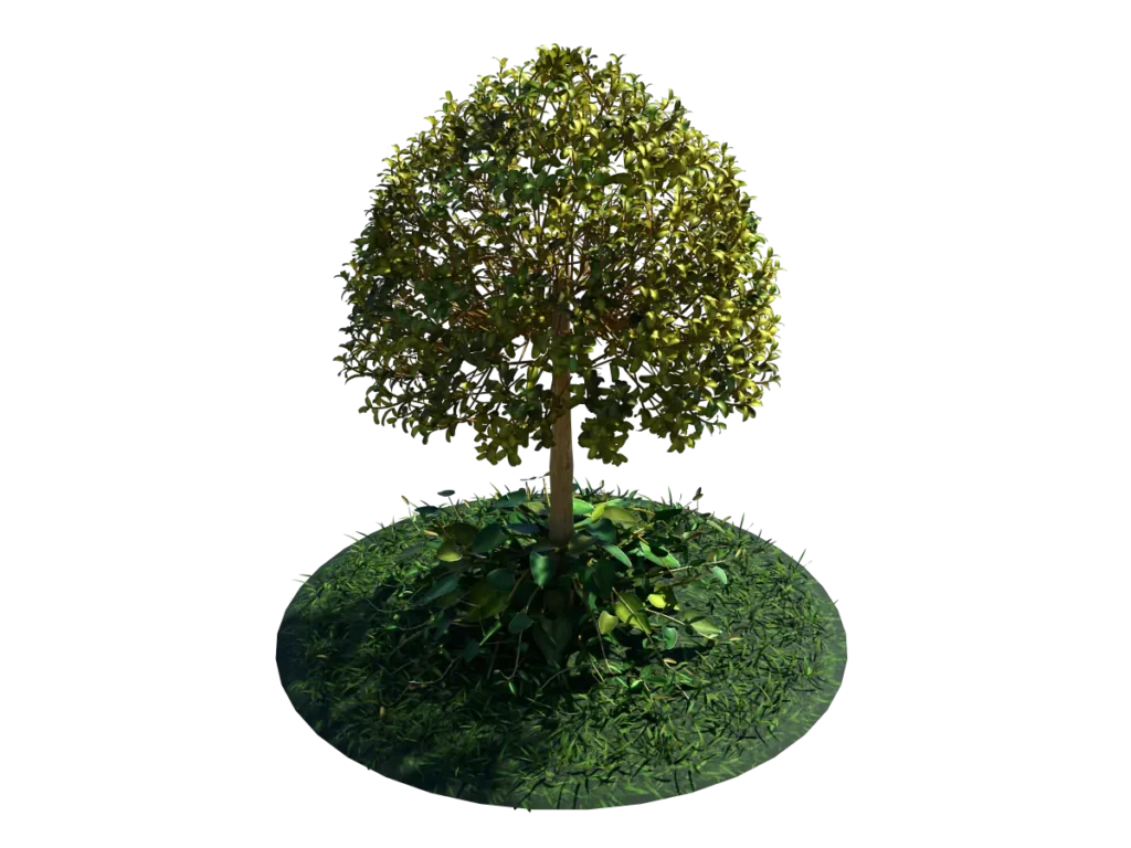 buxus-tree-with-ivy-grass-3d-model-td
