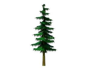 conifer-pine-tree-3d-model-ta