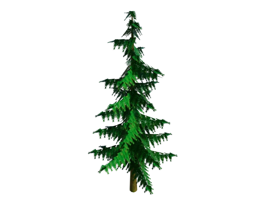 conifer-pine-tree-3d-model-tb