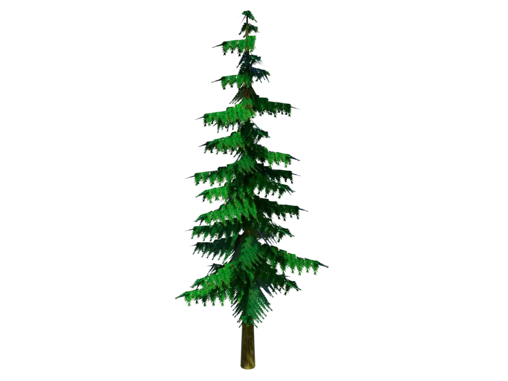 conifer-pine-tree-3d-model-td