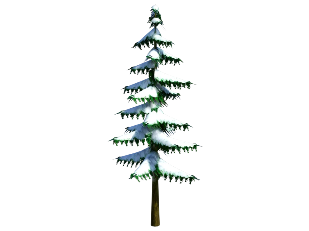 conifer-pine-tree-snow-3d-model-ta