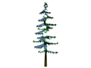 conifer-pine-tree-snow-3d-model-ta