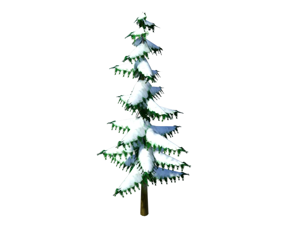 conifer-pine-tree-snow-3d-model-tb
