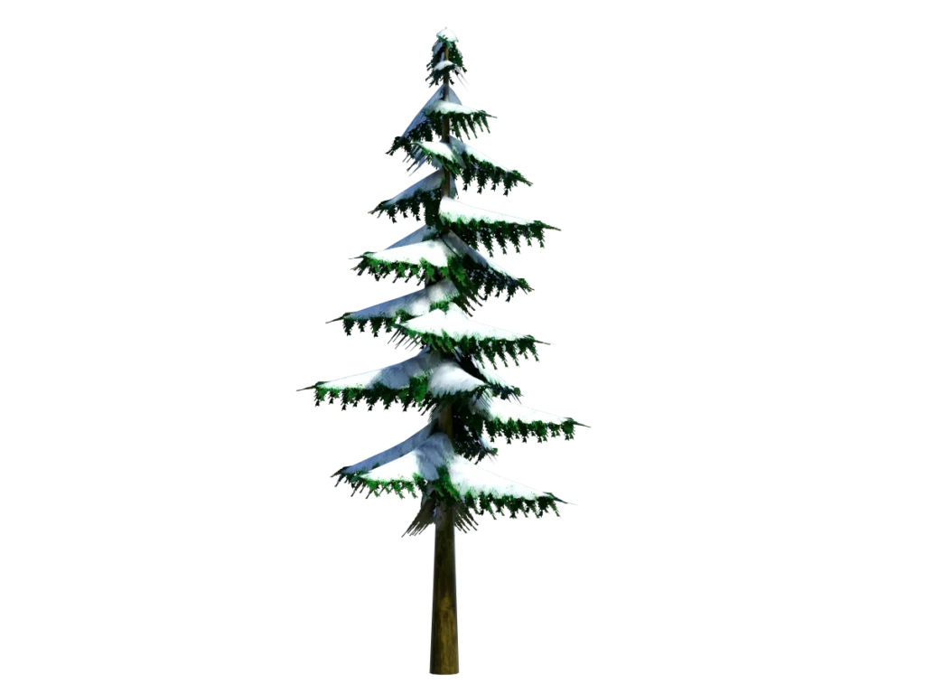 conifer-pine-tree-snow-3d-model-td