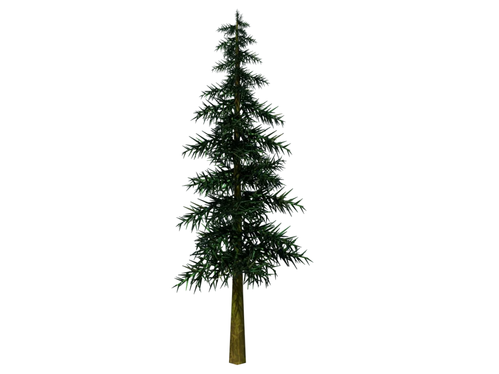 conifer-tree-3d-model-ta