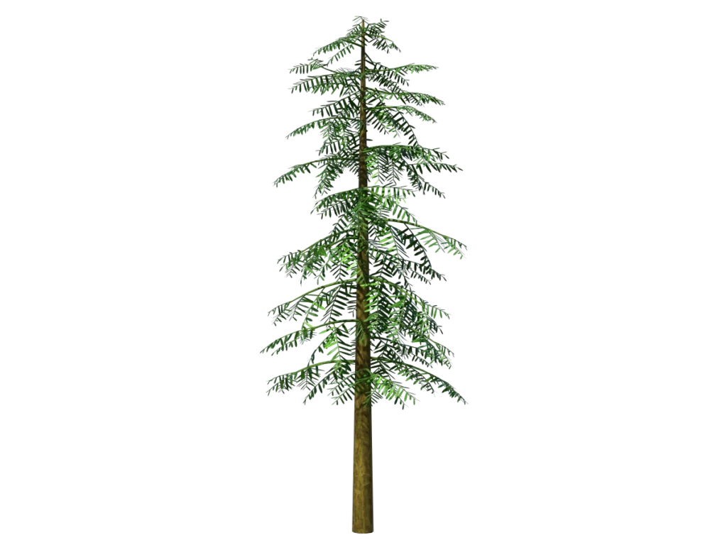 conifer-tree-green-3d-model-ta