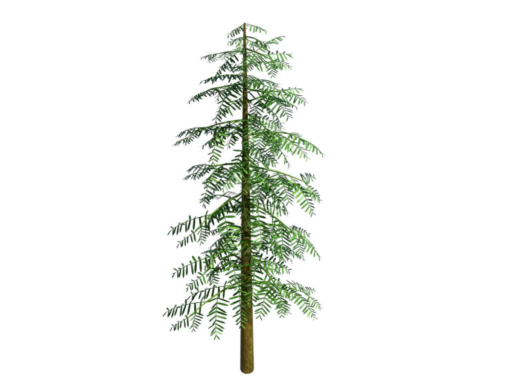 conifer-tree-green-3d-model-tb