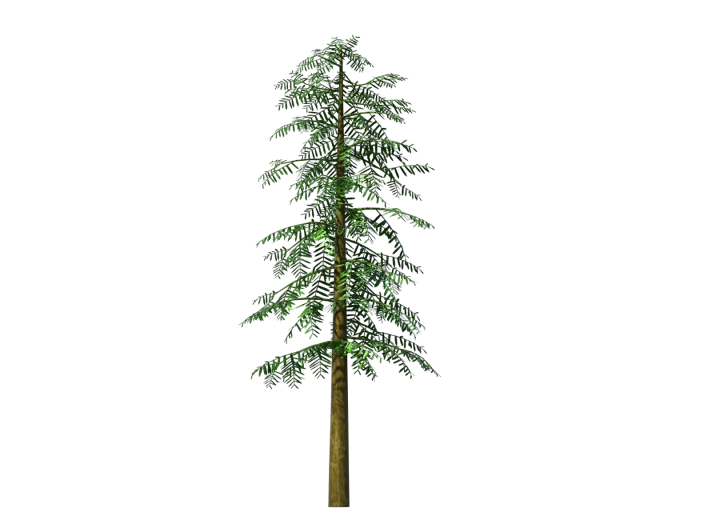 conifer-tree-green-3d-model-td