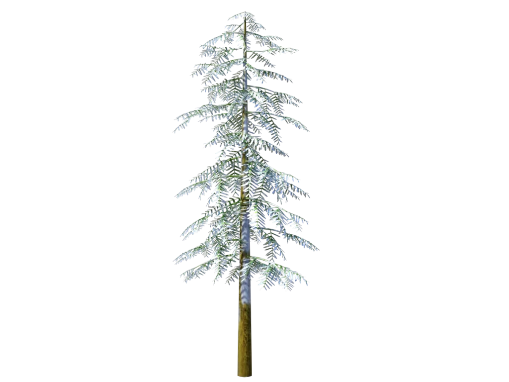 conifer-tree-snow-3d-model-ta