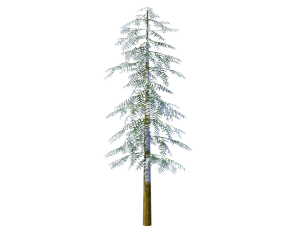 conifer-tree-snow-3d-model-ta