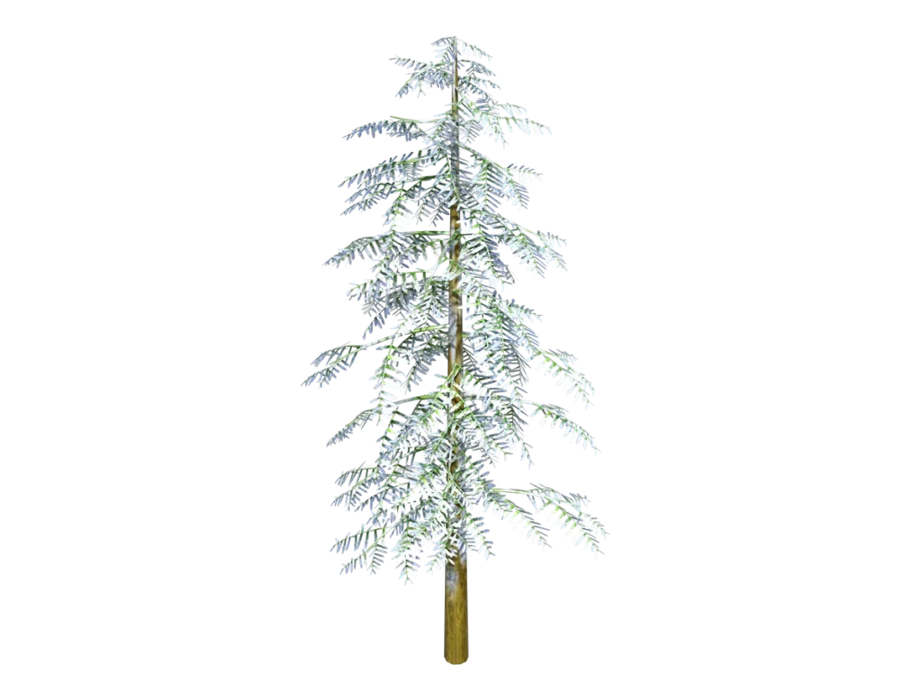 conifer-tree-snow-3d-model-tb