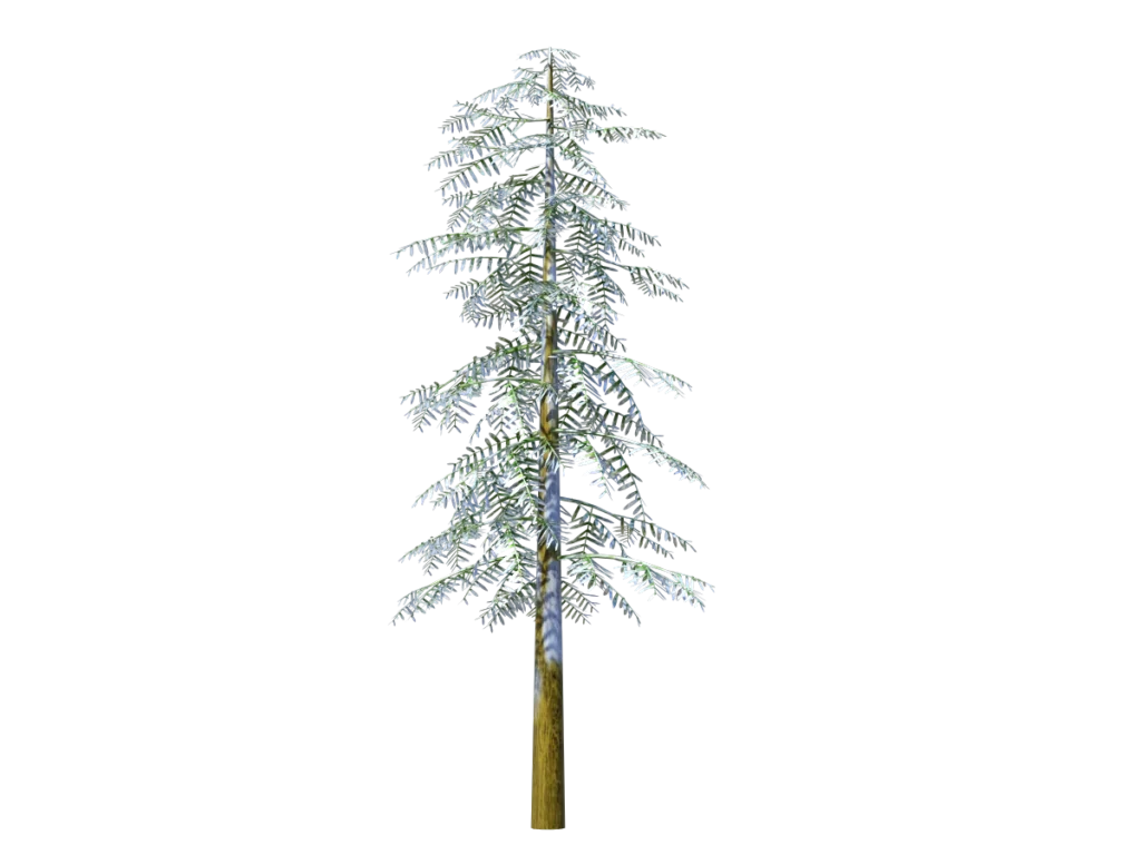 conifer-tree-snow-3d-model-td