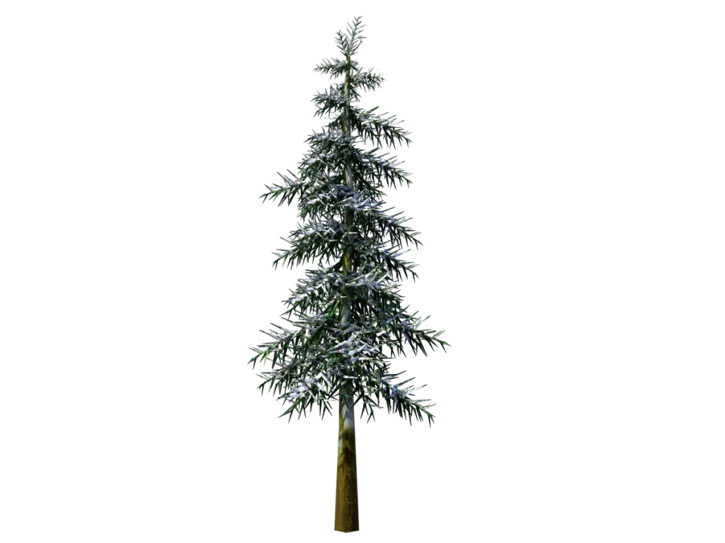 conifer-tree-winter-3d-model-ta