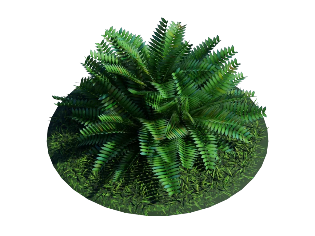 fern-bush-3d-model-shrubs-tb