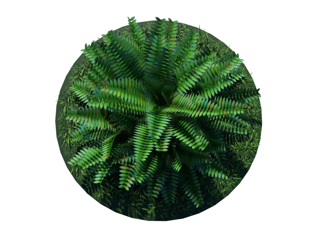 fern-bush-3d-model-shrubs-tc