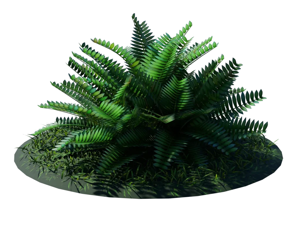 fern-bush-3d-model-shrubs-td