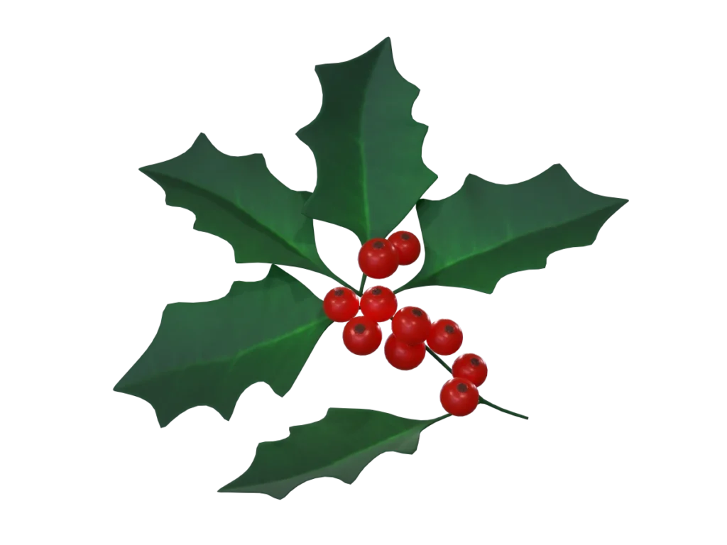 holly-leaves-berries-3d-model-ta